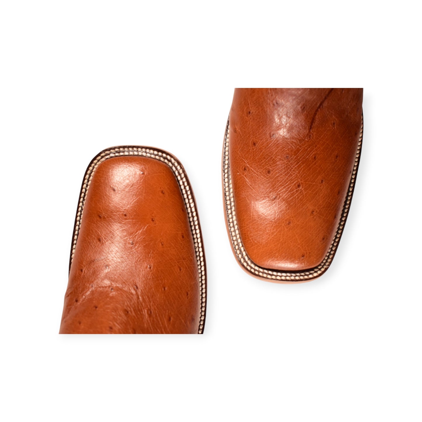 Bota Panza Avestruz