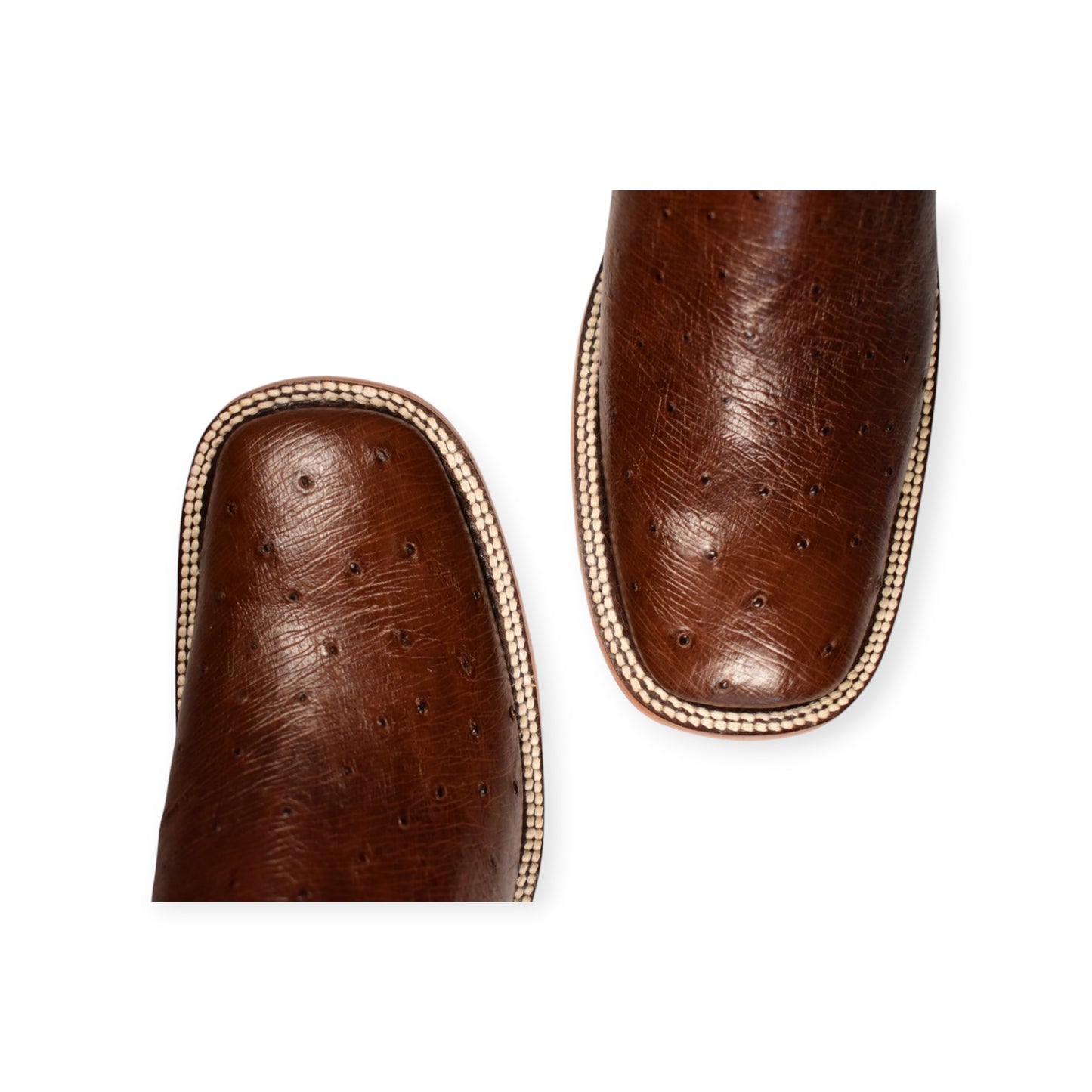 Bota Panza Avestruz