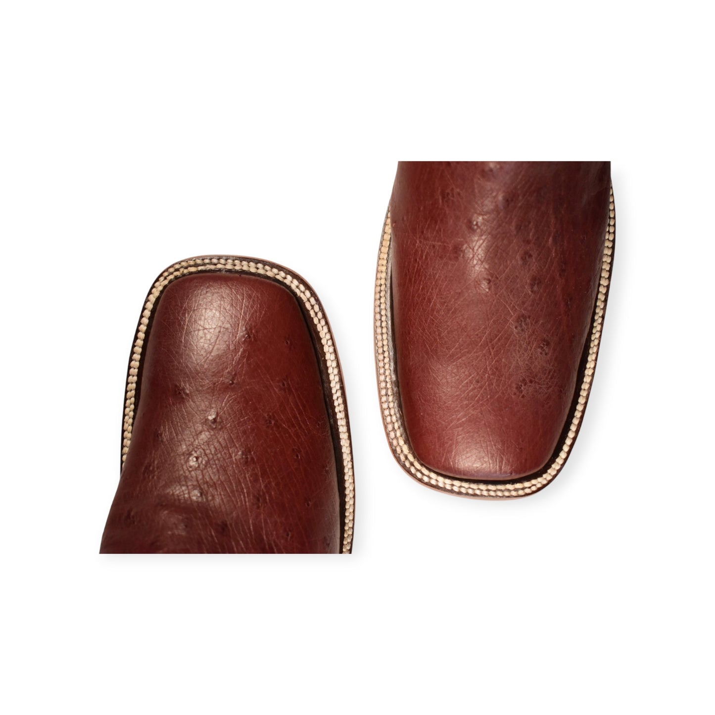 Bota Panza Avestruz